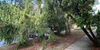 Coventry Court Town Homes Gallery 42