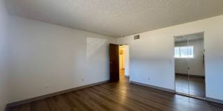 Lovely 1 Bedroom, 1 Bathroom Lakewood Condo! Community POOL!!! Gallery 11