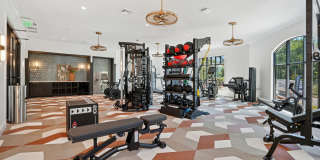 NOVEL Davidson Gallery 20