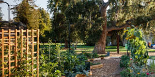 Mansion Grove Apartments Gallery 9