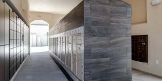 Solara Vista Gallery 65