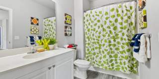 The Park at Walnut Ridge The Park at Walnut Ridge Gallery 20