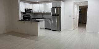 253 NEWPORT P Gallery 1