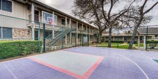 Juniper Springs Gallery 4