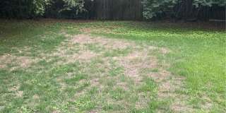 1308 Crestwood Drive Gallery 10