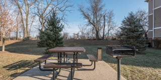 Lee Trace Gallery 20