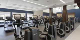 Avalon at Traville Gallery 19