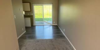 Southdale Square Gallery 41