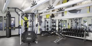 Breve Park Gallery 20