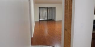 604 Sea Pine Way Gallery 11