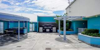 1 BEACH DRIVE SE Gallery 49