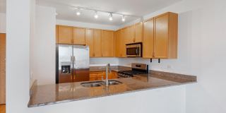 451 W Huron Street Gallery 11