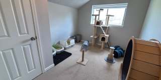 4 BEDROOM IN NORTH  BOSSIER Gallery 16