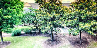 2043 Cobblestone Circle Northeast Gallery 9