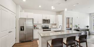 Ascend at Carlton Gallery 58