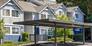 Avana Chestnut Hill Gallery 44