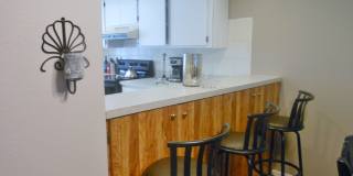 Condo in East Lake Woodlands Gallery 8