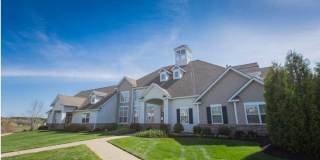 Steeplechase At Malta Gallery 1