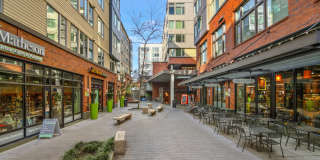 Green Lake Village Gallery 2