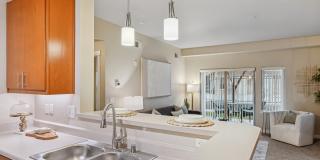 Island View Apartments Gallery 22