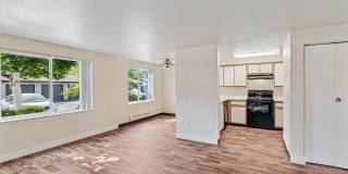 North Pointe Gallery 2