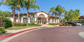 Bella Rose Gallery 2