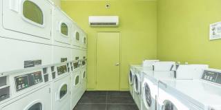 Avery at TownCentre Gallery 23