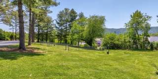 Allandale Falls Gallery 1