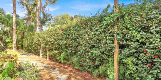 601 Paulina Road Gallery 27