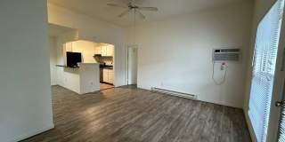 University Park Gallery 393