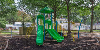 Cottage Grove Gallery 6