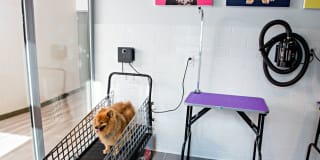 AVA DoBro Gallery 37