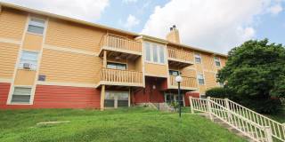 Raintree Apartments Gallery 7