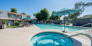 Avana Chandler Gallery 11