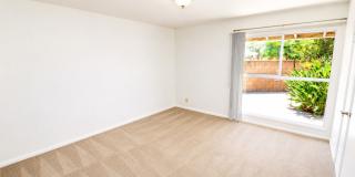 Large 6 Bedroom - Huge Yard - Students Welcome Gallery 18