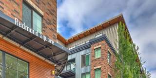 Redmond Square Gallery 13