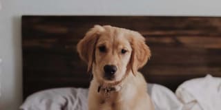 Arris Blaine Gallery 14