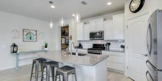 Nice 3 bedroom 2 bath in 85212! Nice 3 bedroom 2 bath in 85212! Gallery 1