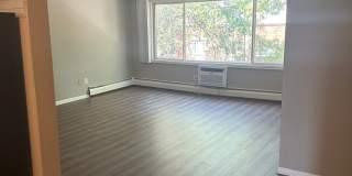 Willows on France Gallery 45