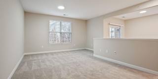 5137 Foxtail Pine Street Gallery 10