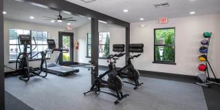 The Avenue Gallery 22