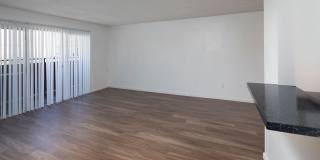 Volterra at La Mesa Gallery 36