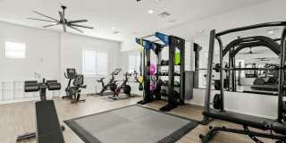 Canopy at Sundance Gallery 62