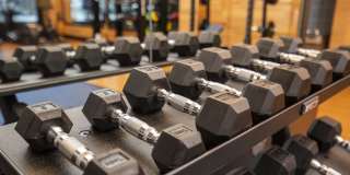 202 Queen Gallery 23