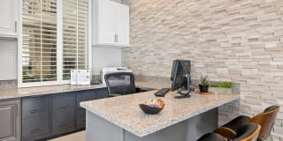 Palms Court Gallery 23