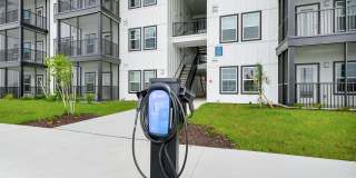 NOVO Avian Pointe Gallery 27