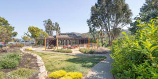 Summit at Sausalito Apartments Gallery 8