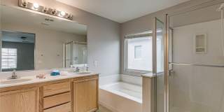 3123 ALDER GROVE Court Gallery 22