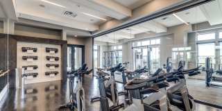 The Ivy Park Place Gallery 36