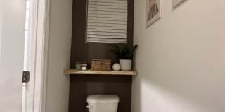 194 Mangrove Shade Circle Gallery 17